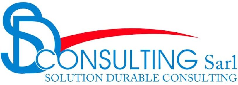 SDConsulting